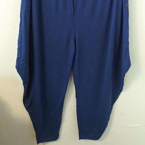 Blue Harem Pants - Picture 3 of 3
